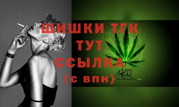 jwh Ельня