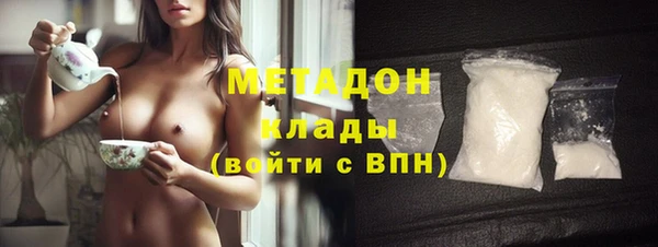 прущие грибы Елизово