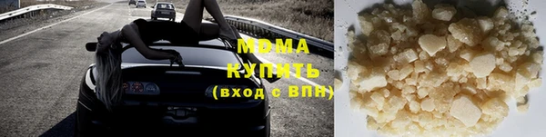 прущие грибы Елизово