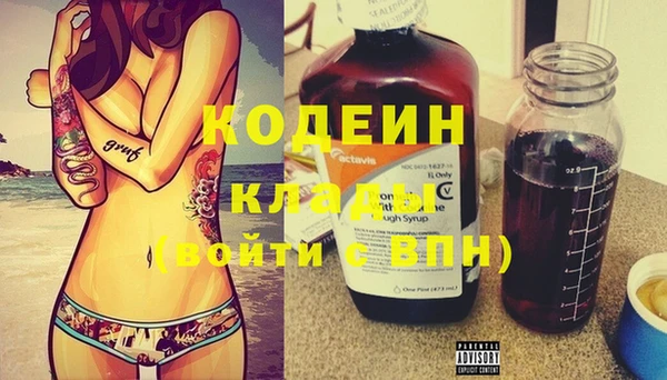 прущие грибы Елизово