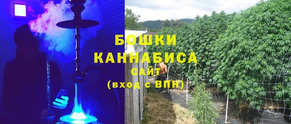 прущие грибы Елизово
