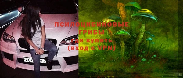 jwh Ельня