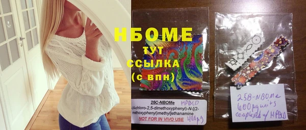 прущие грибы Елизово