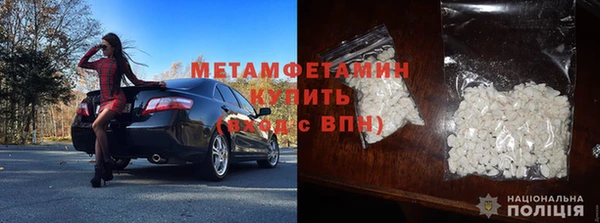 прущие грибы Елизово
