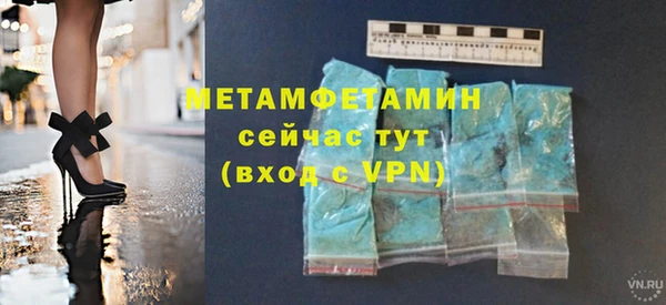 прущие грибы Елизово