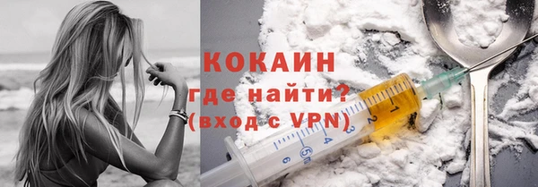 прущие грибы Елизово
